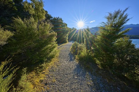 A narrow gravel path through a forest with sunbeams falling through the trees onto the path, near a