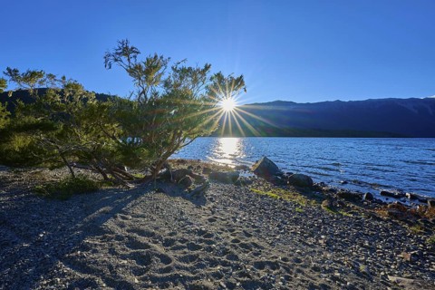 Sunlight shines through a tree on the shore of a lake, the calm water reflects the mountains,