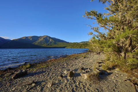 Calm lake with mountains in the background, a tree and stones line the shore under a clear sky,