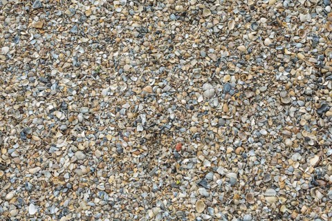 Shell gravel as paving, background, texture, Netherlands