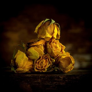 A pyramid of dried yellow roses sits against a dark background, highlighting their unique texture