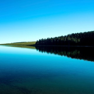 A tranquil lake mirrors the vibrant blue of the sky while a dense forest borders its edge. Lake