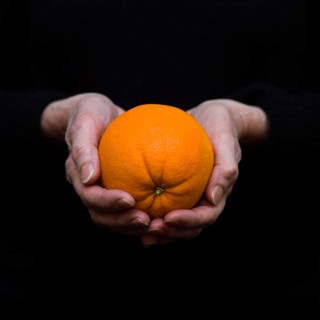 Delicate hands grip a bright orange, highlighting its smooth skin and natural curves. The dark