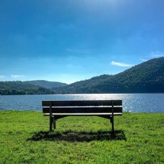 A solitary bench sits on lush green grass by a calm lake in Auvergne, France. The sun shines