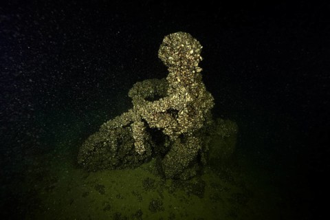 A cyclist was sunk in Lake Constance as an attraction for divers. It is now completely covered with