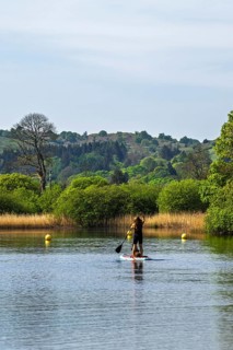 Woman with dog on Paddle board on Windermere Lake, Fell Foot Park, Lake District, Cumbria, England,