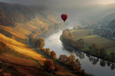 Hot air balloon, over a golden Moselle bend on a sunny autumn day, colourful vineyards along the