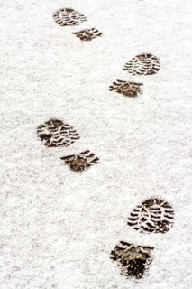 Tracks left by boots in freshly fallen snow reveal a path through a serene winter environment. The