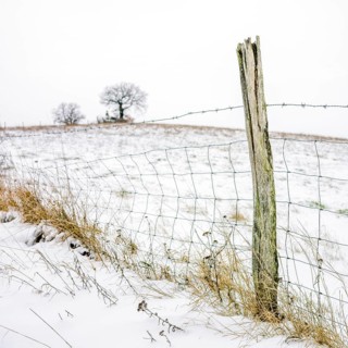 A rustic wooden fence stands in a snowy winter landscape in Auvergne, with a backdrop of stark,