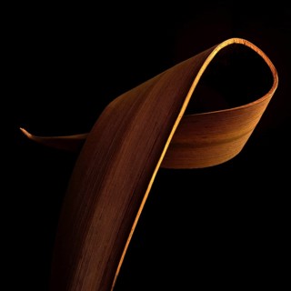 Intricate floral arrangement features gracefully curved leaves highlighted against a black