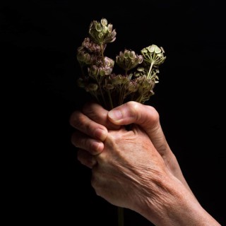 A pair of hands grips a bundle of dried flowers, showcasing detailed textures and the contrast