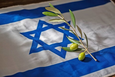 Olive branch placed on Israeli flag. Symbol of peace, diplomacy, and hope for resolution in Israel.