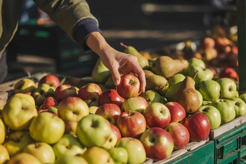 Hand reaching for fresh apples among pears at a farmers market. Concept for seasonal fruit choice