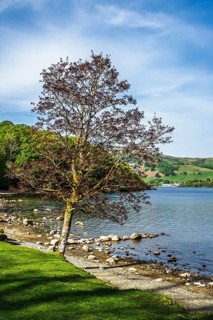 Lake Windermere, Wray Castle, Ambleside, Lake District, Cumbria, England, United Kingdom
