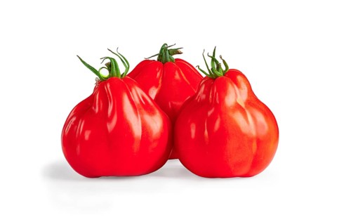 Khinkali Tomatoes, on a white background, isolate, horizontal, no people