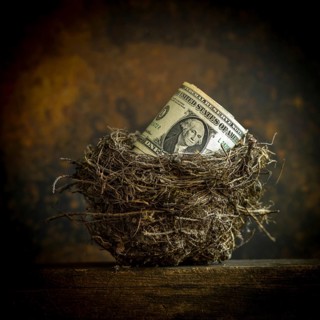 A rolled dollar bill sits comfortably within a natural nest made of twigs and grass, highlighting