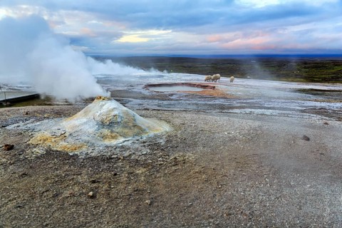 Fumarole, Solfatare Öskjuholt, steaming sinter cone, lime sinter, sulphur vapour, Hveravellir