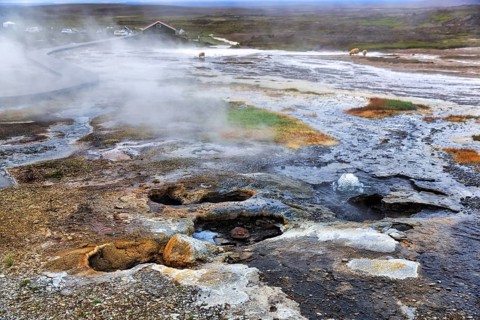 Hveravellir geothermal area, sulphur vapour, Icelandic highlands, Kjalvegur, Kjölur, Suðurland,