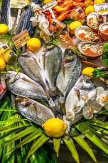 Fish market in Bayonne, Basque Country, Southwest France