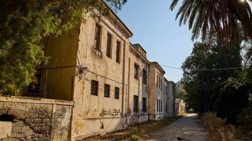 Old abandoned building in an overgrown area with palm trees, Armando Bernabiti, Historicism,