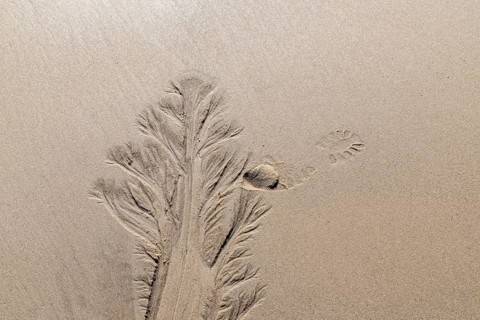 Water marks in the beach, elbow, North Sea, List, Schleswig-Holstein