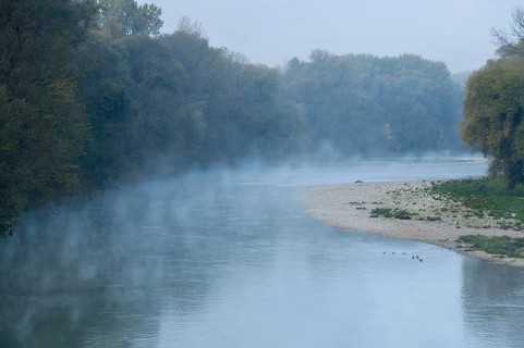 River Isar in the morning mist shortly in front of sunrise, ducks swimming in the water in front of