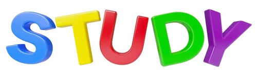 Plastic magnetic letters spelling the word study isolated on a white background