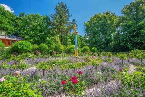 Rosarium with blooming roses and lavender on the Rose Island in Lake Starnberg, Feldafing, Upper