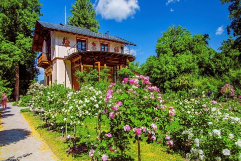 Rose garden in front of the Pompeian-Bavarian casino on the Rose Island in Lake Starnberg,