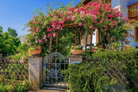 Rose arch over garden gate to Upper Bavarian country house, Ohlstadt, Loisach Valley, The Blue