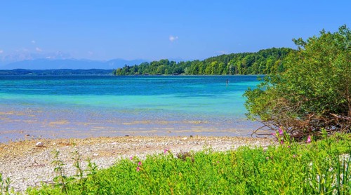 Lakeshore on the Roseninsel in Lake Starnberg, Feldafing, Upper Bavaria, Bavaria, Germany
