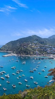 USA, California, panoramic view of Catalina Island Bay and Avalon. Chimes Lookout. Travel