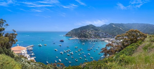 USA, California, panoramic view of Catalina Island Bay and Avalon. Chimes Lookout. Travel