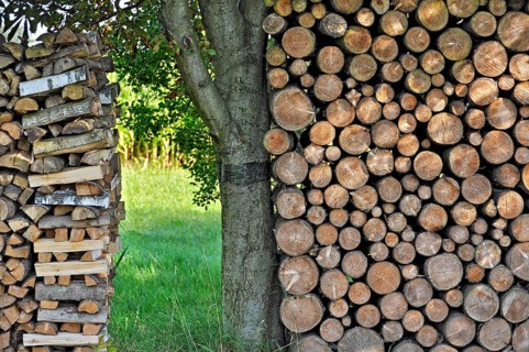 Free-standing stack of firewood, logs, secured by cross-layered ends, or held by tree trunk,