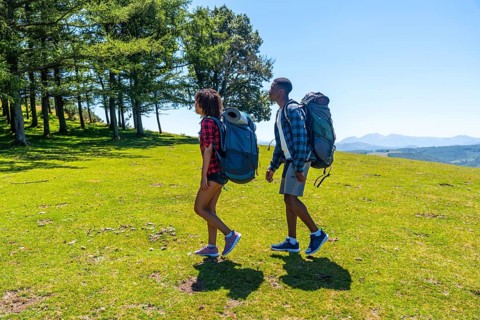 Young hikers enjoying a sunny day in the mountains, walking along a scenic trail with backpacks,