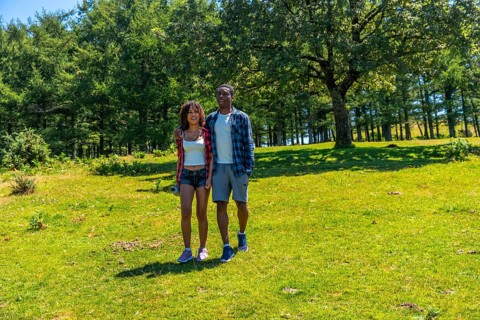 Young multi ethnic couple enjoying a sunny summer day, walking hand in hand through a lush green