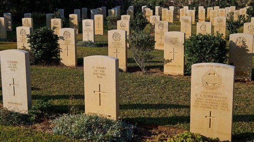 Rows of gravestones in a war cemetery surrounded by sunlight and green plants, Military Cemetery,