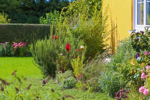 Front garden, well-kept garden, bed, flowers, plants, district Oberuhldingen, municipality