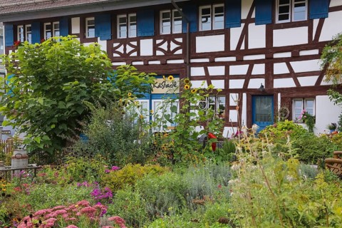 Kässtadel, KäStadel, on the lake, specialist cheese shop with bistro, cheese shop, delicatessen,