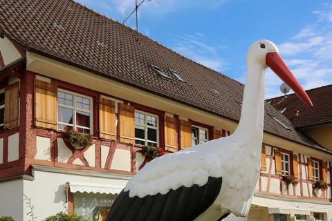 Hotel, Gasthof Storchen, restaurant, replica stork, large sculpture, half-timbered, building,