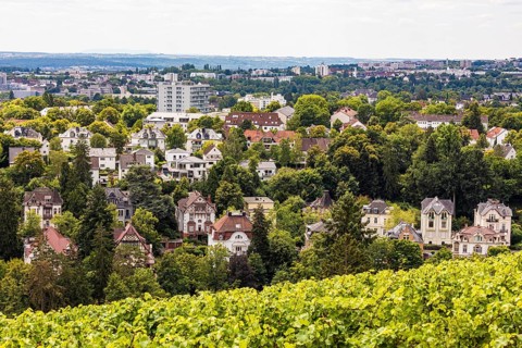 View from the Neroberg over the vineyard and villas from the Wilhelminian era in Wiesbaden, Hesse,