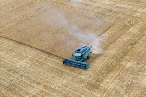 A combine harvester harvests a grain-covered field and stirs up dust, basket in the Rems Valley,