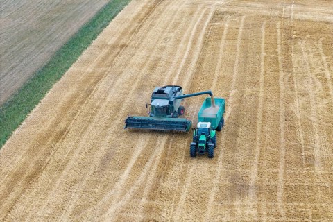 A combine harvester loads a tractor in a harvested field, Korb im Remstal, Baden-Württemberg,