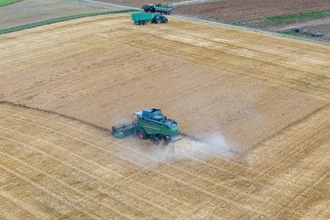 Harvesters harvesting a wide field surrounded by dust, tractors, basket in the Rems Valley,