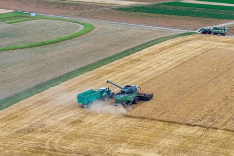 A combine harvester with a tractor and trailer harvesting together on a cornfield