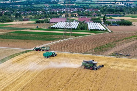 A combine harvester and tractor operate in a field in a rural area near a village