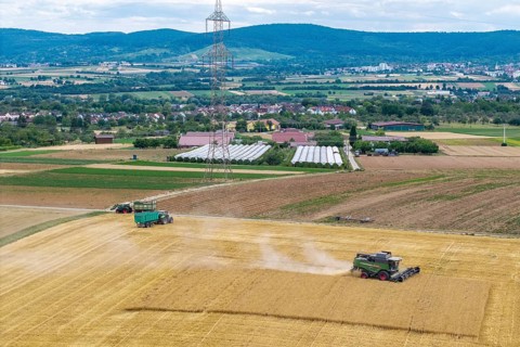 Wide fields with combine harvesters and tractors against a backdrop of mountains and a power pole,