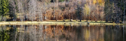 Late autumn, water reflection in moor pond, autumn, near Oberstdorf, Oberallgäu, Allgäu, Bavaria,