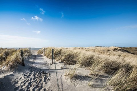 Trail in the dunes and blue sky in winter, Spiekeroog, East Frisian Islands, Lower Saxony, Germany
