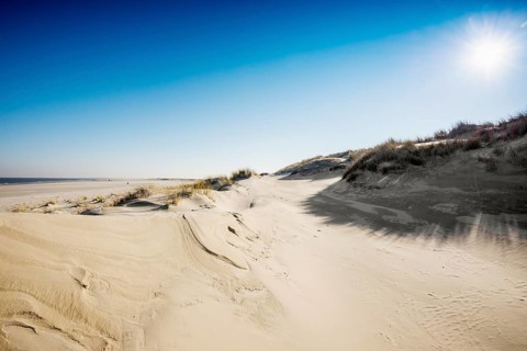 Dunes and blue sky in winter, Spiekeroog, East Frisian Islands, Lower Saxony, Germany